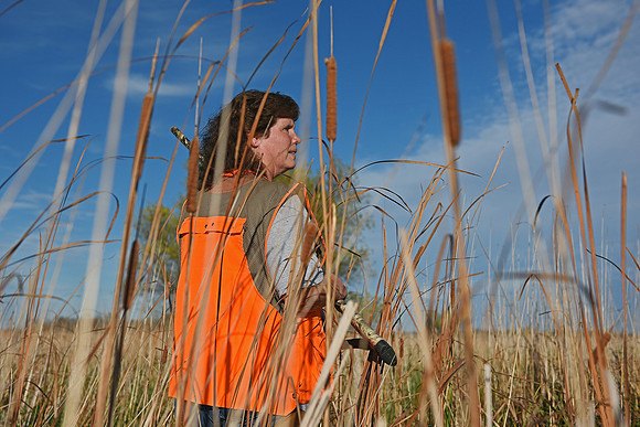 South Dakota Pheasant Hunting Opener