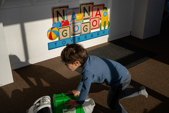 Nana Gogo Toybrary