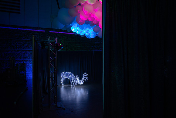 Northern Lights Festival