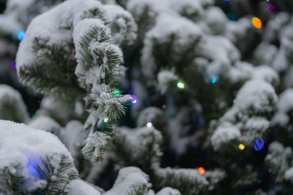 Snow Blankets Rochester