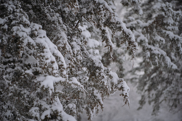 Snow