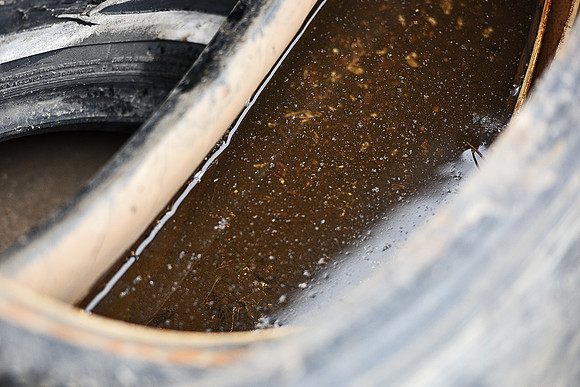 Landfill Tires