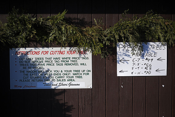Riverview Tree Farm