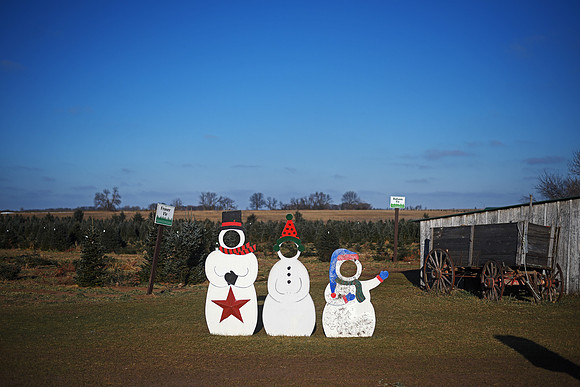 Riverview Tree Farm