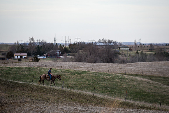 Horseback Riding Feature