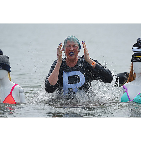 Polar Plunge