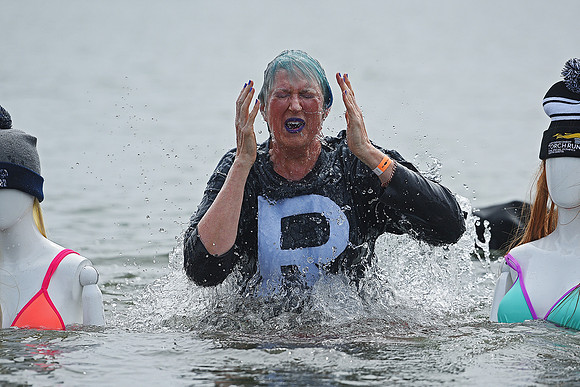 Polar Plunge