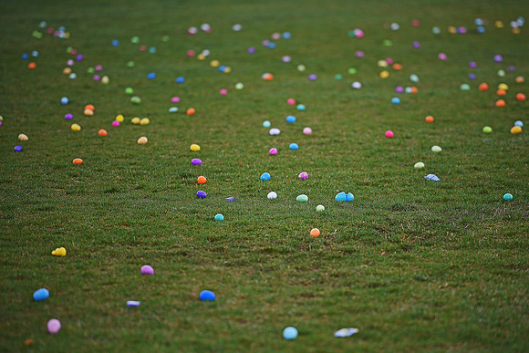Easter Egg Hunt