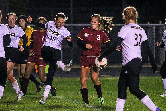 Stewartville-Caledonia/Houston/Spring Grove Girls Soccer