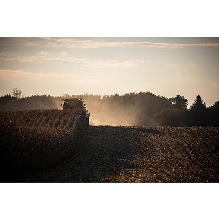 Harvest