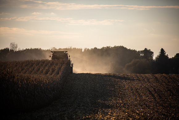 Harvest