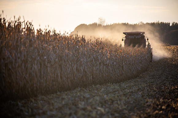 Harvest