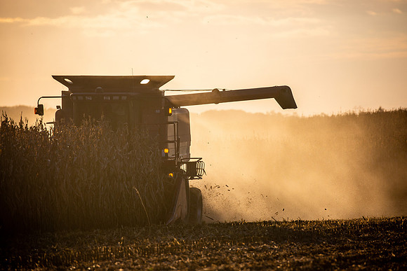 Harvest