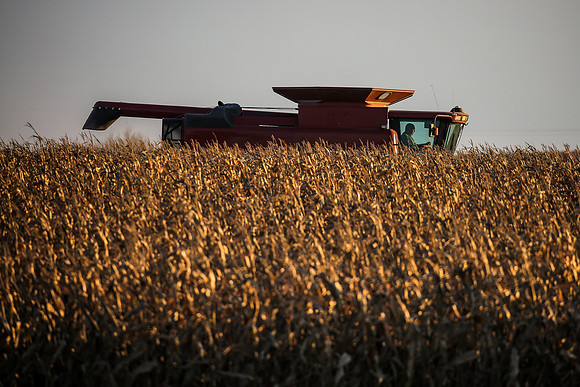 Harvest