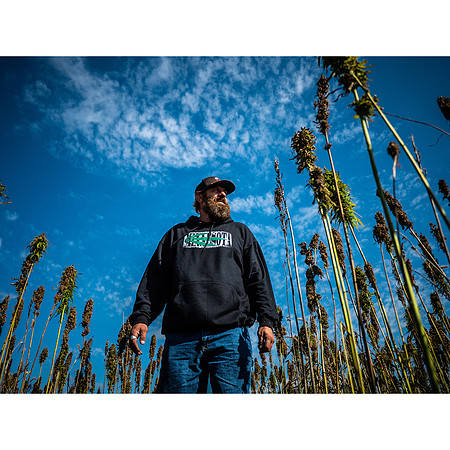 Hemp Maze