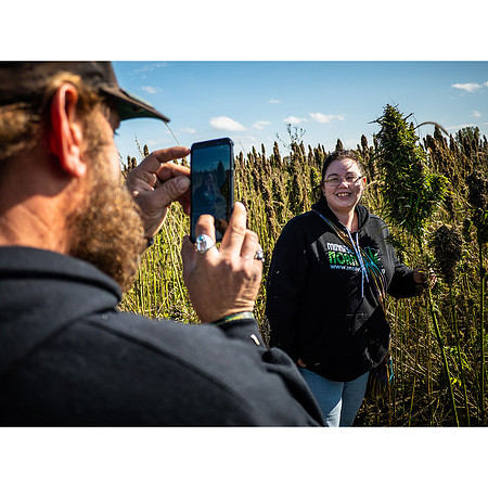 Hemp Maze
