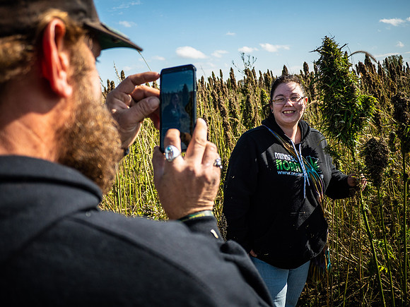 Hemp Maze
