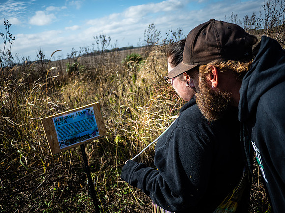 Hemp Maze