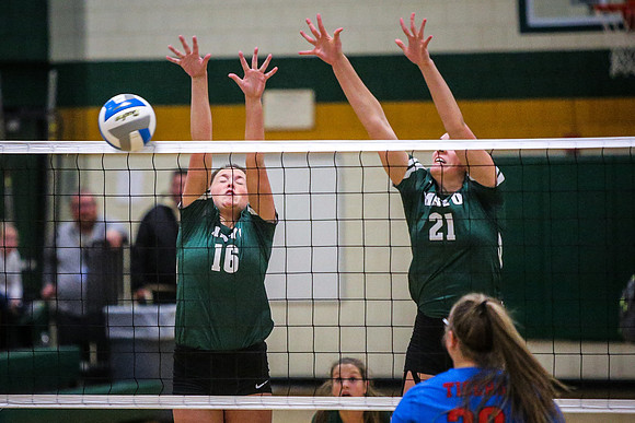 Mayo-Albert Lea Volleyball