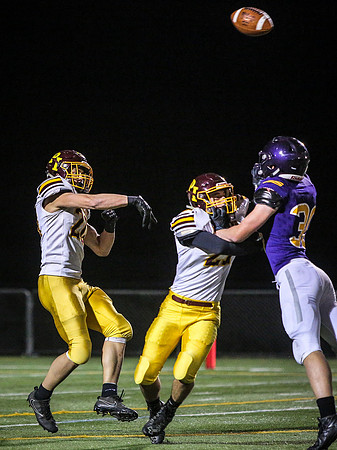 Lourdes-Pine Island Football