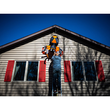 Halloween Decorations