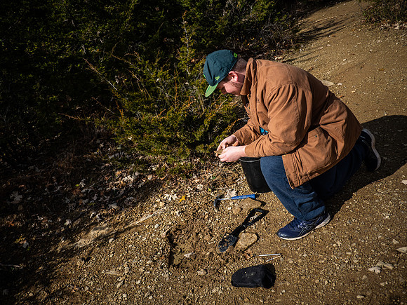 Fossil Hunting