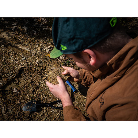 Fossil Hunting
