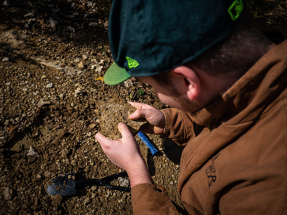 Fossil Hunting