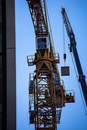Crane