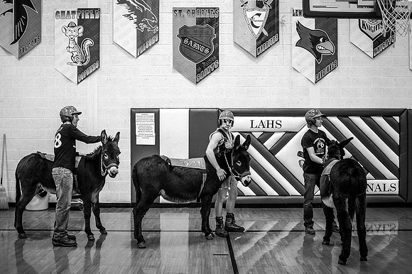 Donkey Basketball