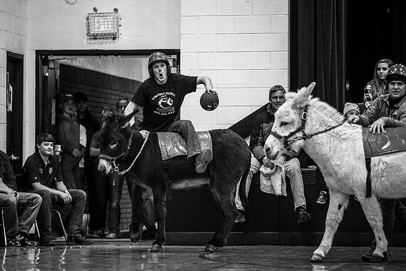 Donkey Basketball