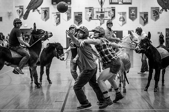 Donkey Basketball