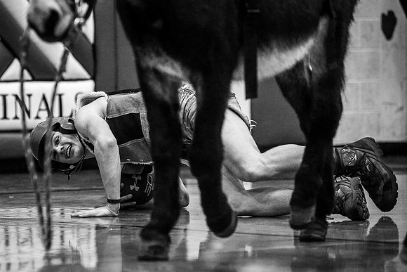 Donkey Basketball