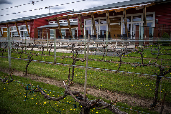 Rochester Magazine - Four Daughters Vineyard and Winery