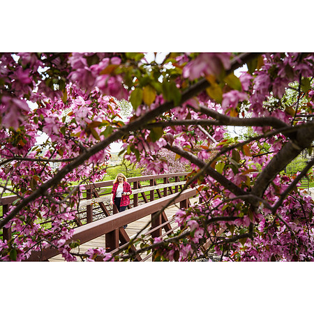 Colorful Walk