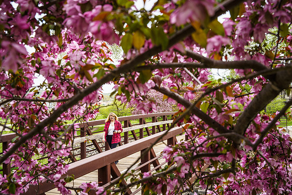 Colorful Walk