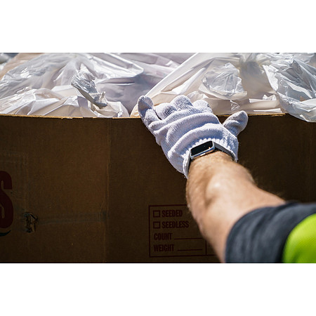 Food Distribution
