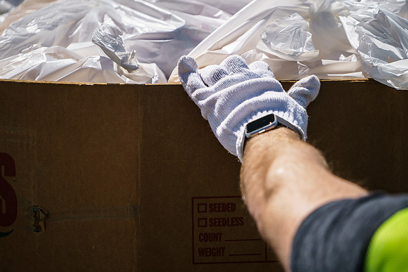 Food Distribution