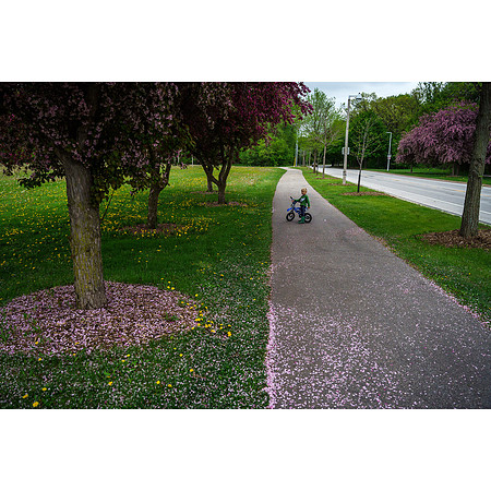 Bike Ride