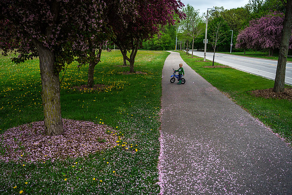 Bike Ride