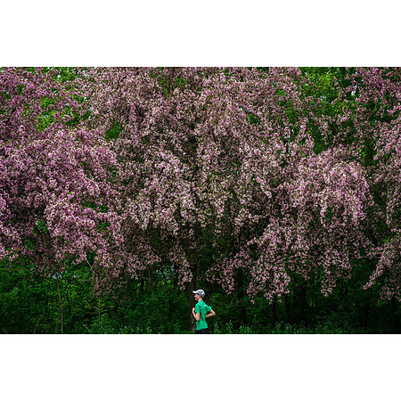 Colorful Run
