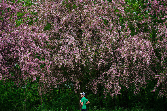 Colorful Run