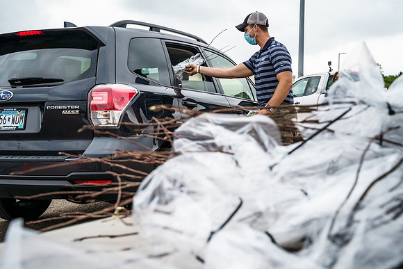 Tree Giveaway