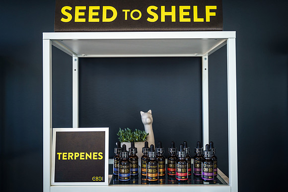 Sponsored Content - The CBD Centers