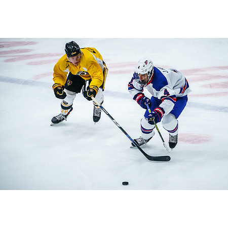 Austin Bruins vs. USA Hockey National Team Development Program's