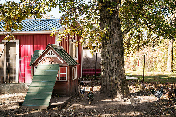 Rochester Magazine - Raechel Murphy