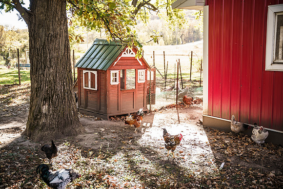 Rochester Magazine - Raechel Murphy