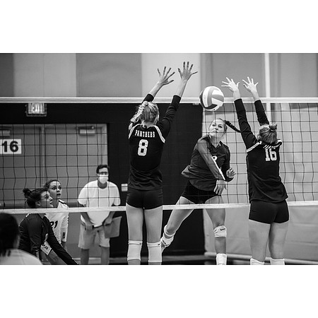 Century vs. Red Wing Volleyball