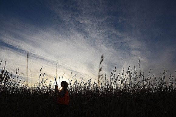 South Dakota Pheasant Hunting Opener
