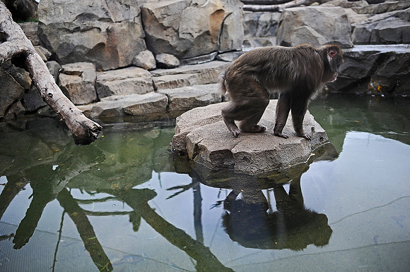 Great Plains Zoo Conservation